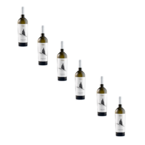 6 flessen Garganega IGT