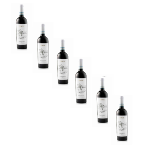 6 flessen Bardolino DOC