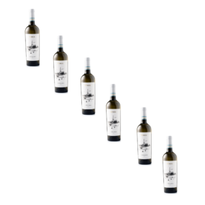 6 flessen Custoza DOC