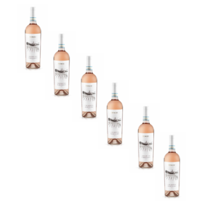 6 flessen Chiaretto Bardolino DOC